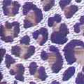 Narrow Novelty Narrow Novelty